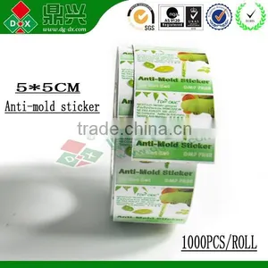 High Quality Anti-mould Clips Pack for Clothes Made in China thumbnail-1