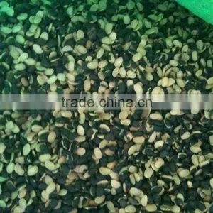 Chinese Small Black Kidney Beans Splite to Brazil thumbnail-1