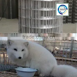 Welded Rabbit Cage Wire Mesh thumbnail-1