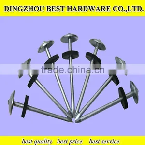 GI Roofing Nail Galvanized Roofing Nail thumbnail-5