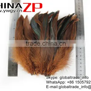 Gold Supplier CHINAZP Bulk Sale Top Quality Colored Brown Chicken Half Bronze Rooster Schlappen Feathers thumbnail-4
