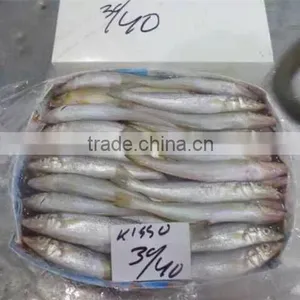 Frozen Lady Fish/silago Shima/silver Fish thumbnail-3