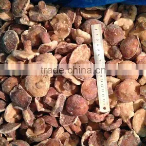 IQF Suillus Granulatus Mushroom 2016 New Crop thumbnail-2