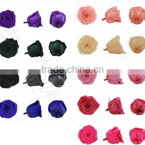 Preserved Flower Rose Display in Gift Box Elegant Flora Decorations for Love thumbnail-6