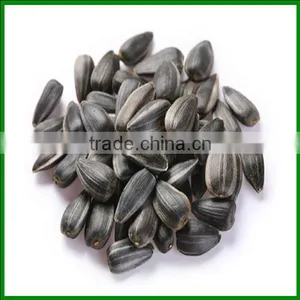Sale Chinese High Quality and Cheap Sunflower Seeds In Bulk for Pet Food thumbnail-1