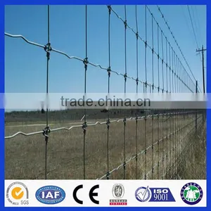 Factory Direct Deer Fencing Sale( Anping Factory ) thumbnail-4