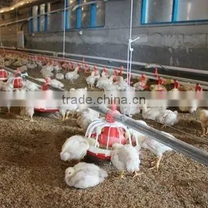 Goldenest Flex Feed Auger for Silo Poultry Feeding System Auger Feeder JCZY-AU03 thumbnail-6
