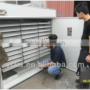 High Quality V-1056 Fully Automatic Egg Incubartor for Hot Selling thumbnail-1