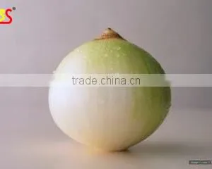 Stainless Steel Factory Price Onion Peeling Machine thumbnail-1
