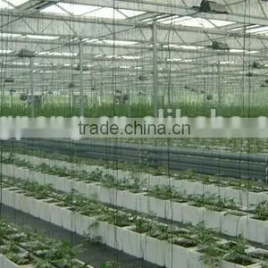 Commercial Greenhouse Cost thumbnail-1