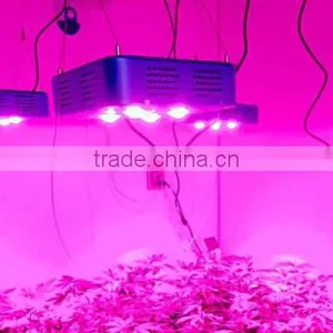 Cob Grow Led Lights 300w Led Grow Light Full Spectrum for Medical Plants thumbnail-6