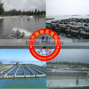 Mariculture Engineering Hdpe Geomembrane Liner thumbnail-1