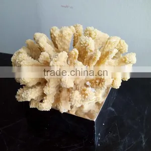 Indoor Resin Coralal Sculpture thumbnail-3