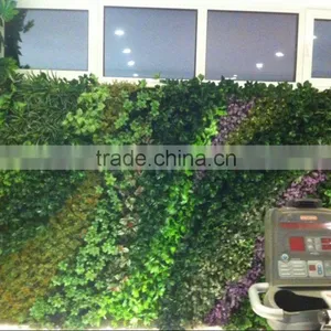 Artificial Green Wall for Gymnasium thumbnail-5