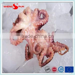 Frozen Baby Otopus IQF Gutted thumbnail-1