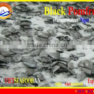 FROZEN BLACK POMFRET thumbnail-1