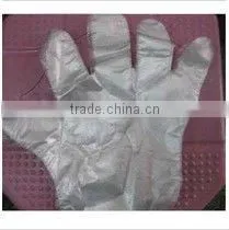 Polythylene PE Glove thumbnail-1