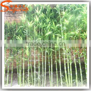 Factory Direct Sale Artificial Bamboo Plant Indoor And Outdoor thumbnail-3