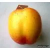 Artificial Vegetable thumbnail-1