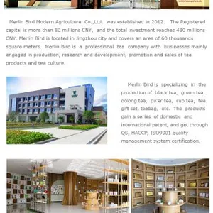 Merlin Bird Modern Agriculture Co.,Ltd. company overview - view 1 thumbnail