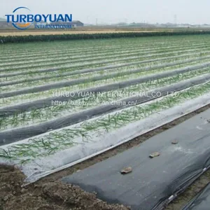 Garden Black Silver Plastic Mulch Film for Agriculture thumbnail-1