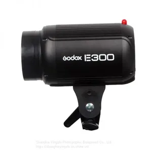Godox E Series 300W Studio Flash for Photography(250WS Professional Studio Flash Light) thumbnail-2
