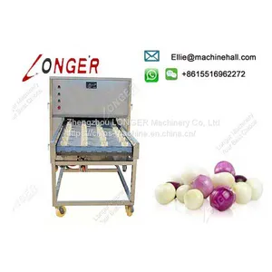 Commercial Stainless Steel Onion Root Cutting Machine Manufacturer thumbnail-4