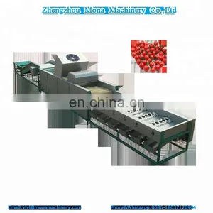 Pomegranate Fruit Farm Equipments High Accuracy Stainless Steel Fruit Grading Machine thumbnail-1