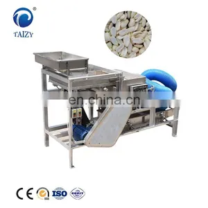 Peanut Powder Making Machine Chestnut Cutter Machine Almond Cutter thumbnail-4