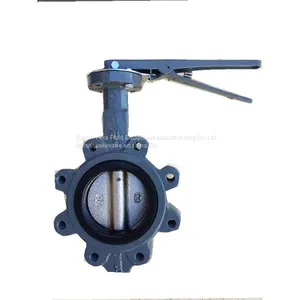 Lug Conentric SS304 Disc Butterfly Valve Lug Double Shaft Pinless Butterfly Valve With Lever thumbnail-4