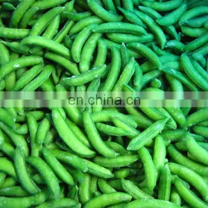 Sinocharm BRC Approved Fresh Crisp Sweet IQF Sugar Snap Peas Frozen Sugar Snap Peas thumbnail-4