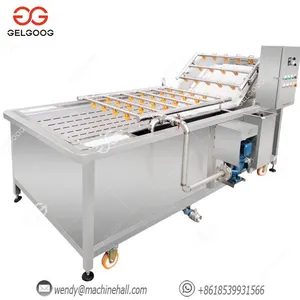 Industrial Vegetable Washer Industrial Air Bubble Leafy Vegetable thumbnail-4