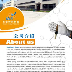 Jiangsu Bai'an Safety Products Co., Ltd. company overview - view 2 thumbnail