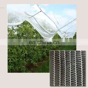 50g Agricultural HDPE Anti Hail Net Screenhouse for Plants Protection Fruit Apple Tree With UV 5 Years thumbnail-1