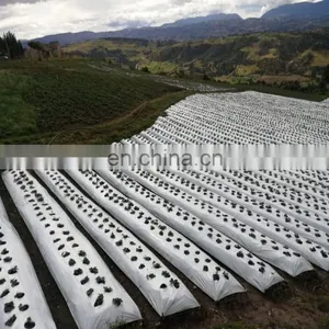 Customized pp Woven Ground Cover for Garden thumbnail-5