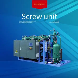 Borun Refrigeration Piston Condensing Unit for Cold Storage, 25 Hp, 6wd - 25.2, Reputation Guaranteed, Cold Storage Installation, Reputation Guaranteed, Reputation Guaranteed thumbnail-5