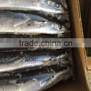 1# 120-140G Frozen Pacific Saury From China thumbnail-6