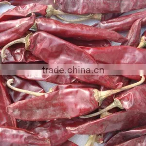 Dried Dry Hot American Red Chilli thumbnail-2