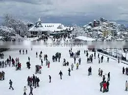Ice Skating Rink thumbnail-2