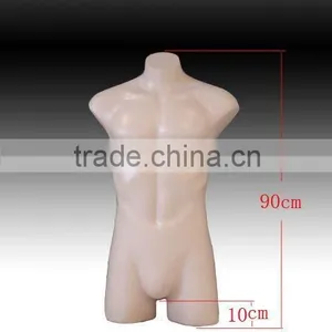 Torso Form thumbnail-1