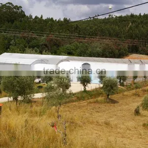 Eco-Friendly Solar Powered Greenhouse for Saving Water Hydroponics thumbnail-6