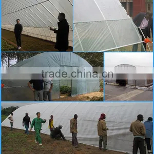 Film Cover Material and PE Material Small Greenhouse Wholesale thumbnail-5