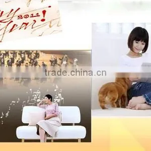Intelligent Background Music Host Long Distance Remote Control Electric Curtain,light Switch,background Music thumbnail-3