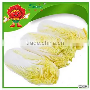 Cheap Cabbage thumbnail-2
