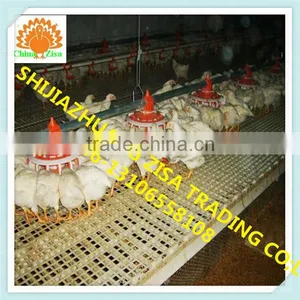 Chicken Feeding Line thumbnail-1