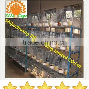 12 Rabbits Breeding Rabbit Cage Line thumbnail-1