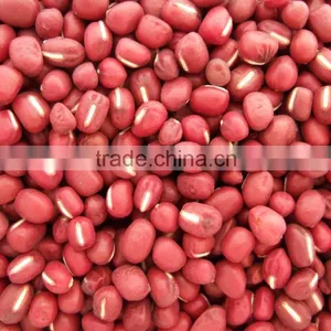 Red Adzuki Bean thumbnail-1