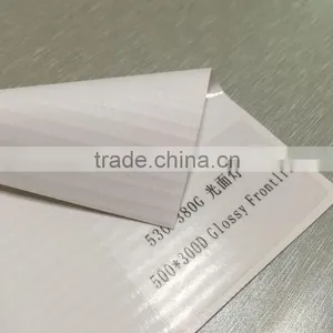 500*300D, 380g Glossy PVC Flex Banner Roll thumbnail-1