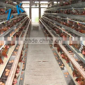 Automatic Water for Chicken Cage , Laying Hen ,chick Material is Galvanized Wire thumbnail-3