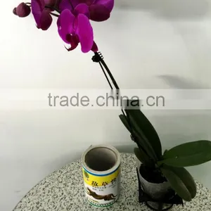 High Quality Thermal Transfer Ribbons Self Adhesive Stickers Labels thumbnail-1